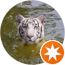 Pavanan Pillai profile picture