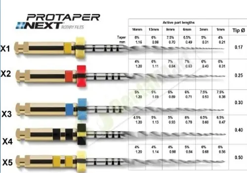 ProTaper Rotary Systems